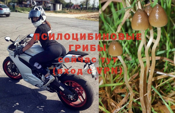 2c-b Магадан